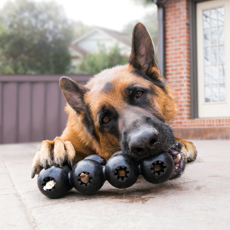 Dog Toys and Enrichment