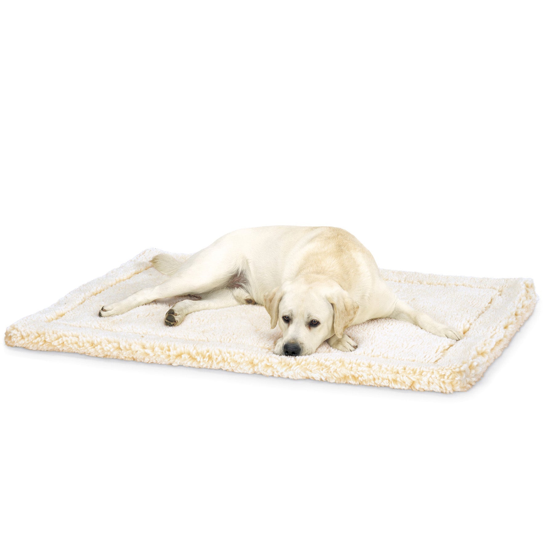 Bedding & Furniture