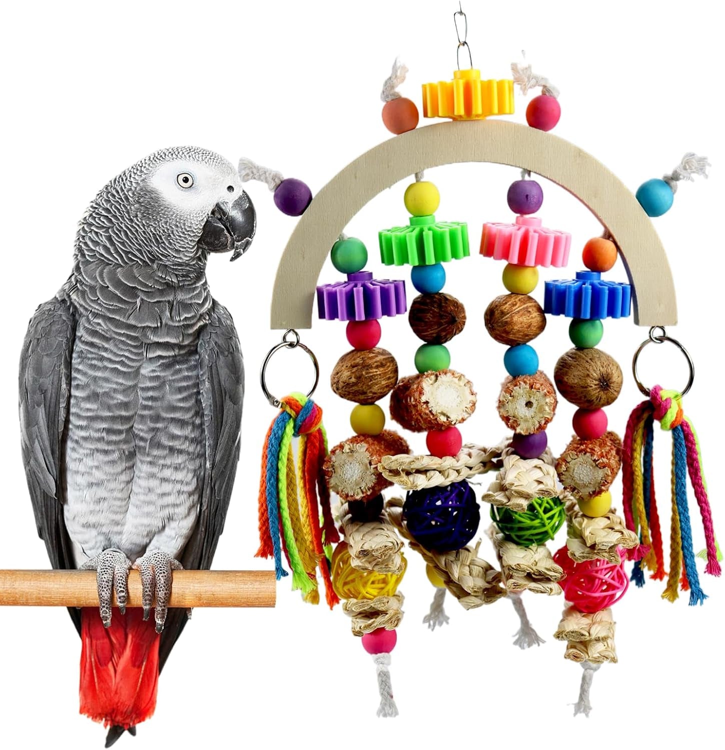 Bird Care