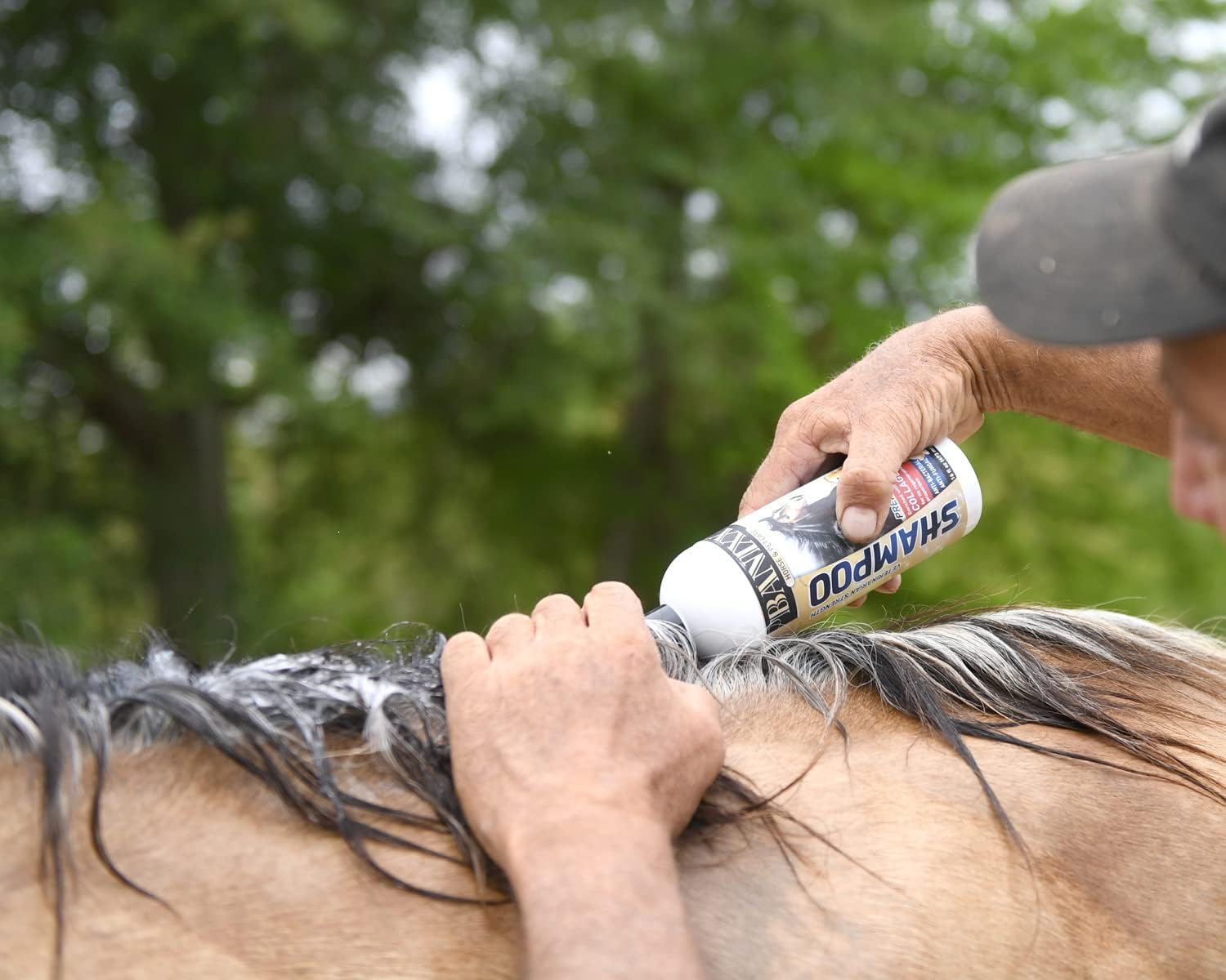 Banixx Shampoo & Spray 16 oz – Horse & Dog Skin & Coat Care Combo – USA Made