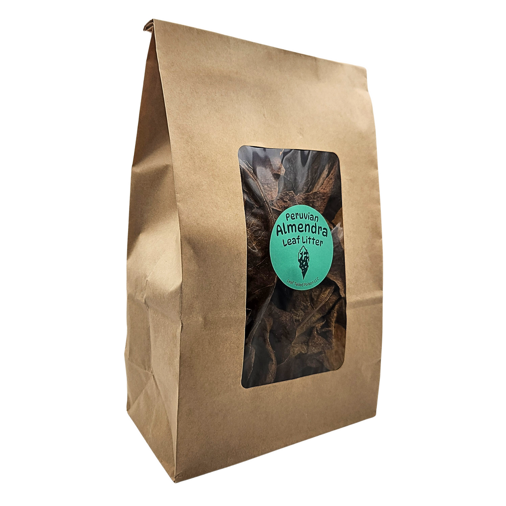 Peruvian Almendra Leaf Litter