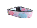 Pastel Pumpkins Nylon Dog Collar