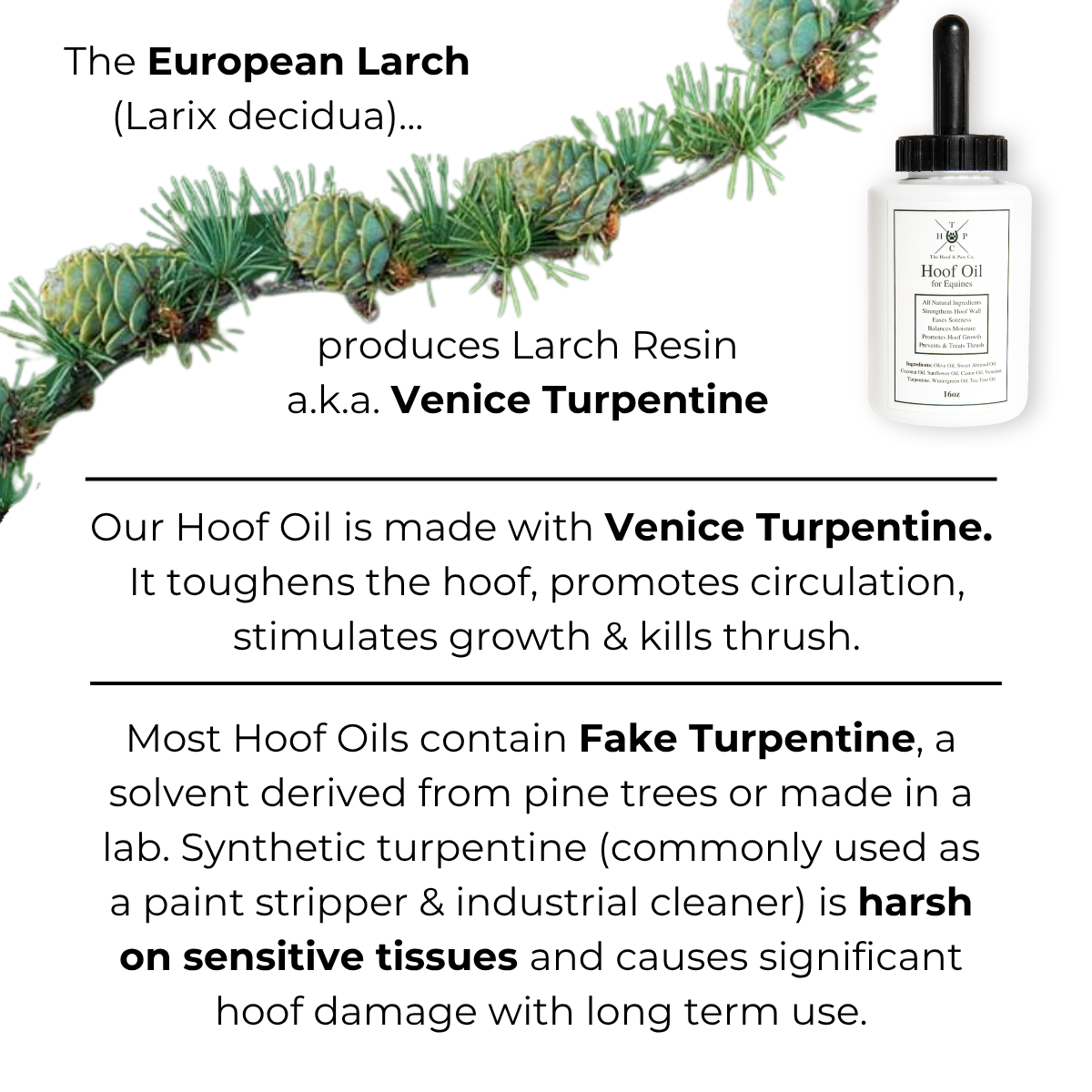 Hoof Oil for Horses