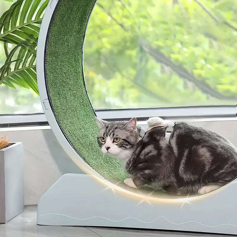 NNETM Pet Fitness Wheel - Interactive Treadmill for Cats and Dogs Grey