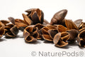 Bakuli Pods
